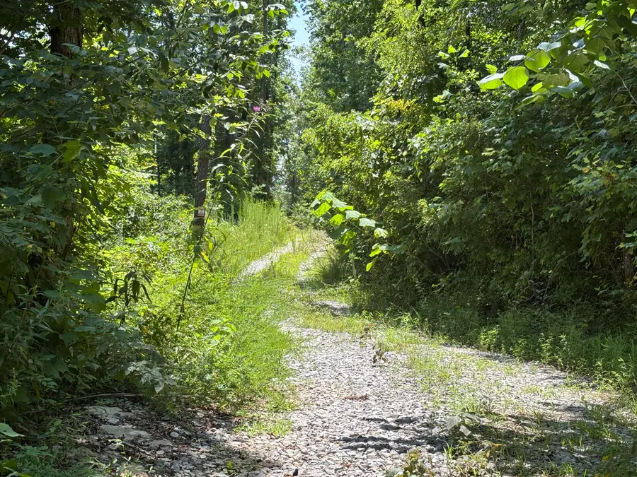 0 Lee Station Mountain Road Road #080 022.00, Pikeville, TN 37367 - #3