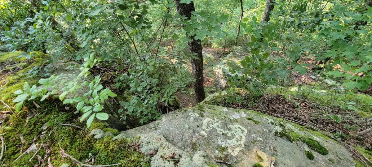 0 Preservation Drive, Lot 6, South Pittsburg, TN 37380 - #1