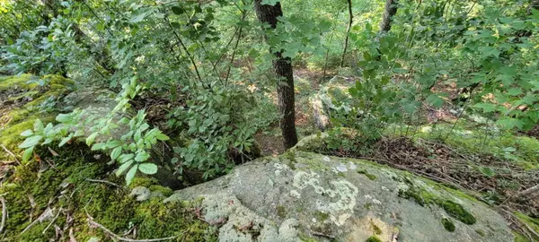 0 Preservation Drive, Lot 6, South Pittsburg, TN 37380