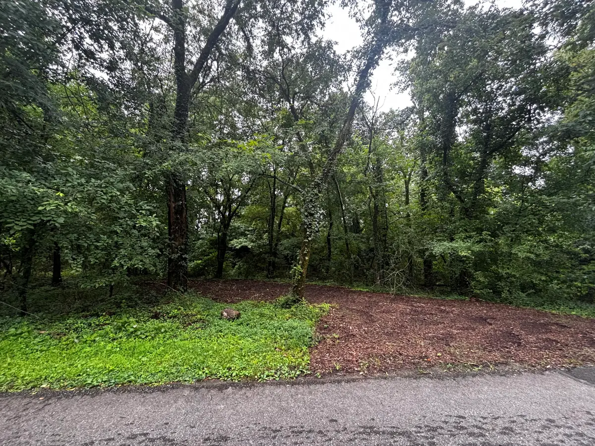 0 Irondale Road, South Pittsburg, TN 37380 - #1