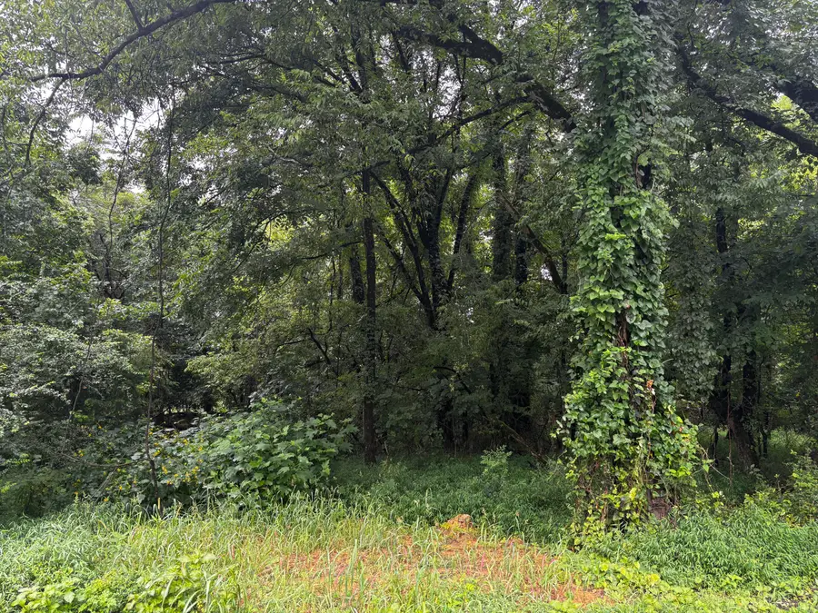0 Irondale Road, South Pittsburg, TN 37380 - #2