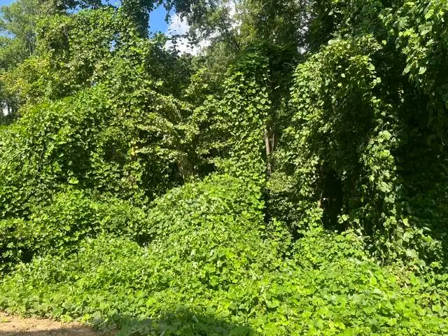 8819 Gann Road #2, Soddy Daisy, TN 37379 - #1