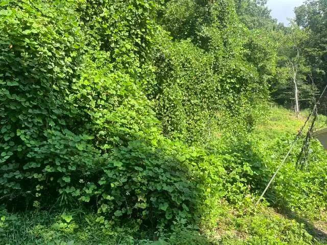 8815 Gann Road #4, Soddy Daisy, TN 37379 - #2
