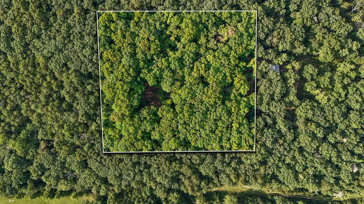 305 Smokey Ridge, Rising Fawn, GA 30738 - #1
