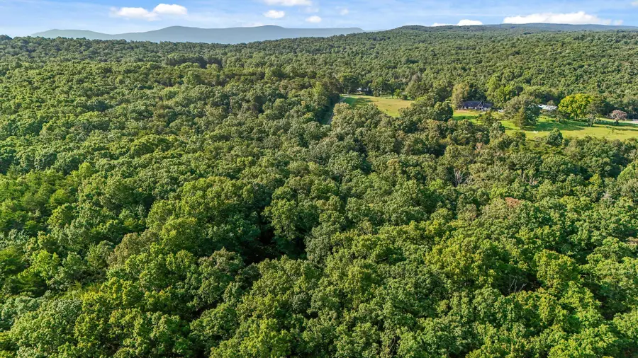 305 Smokey Ridge, Rising Fawn, GA 30738 - #2
