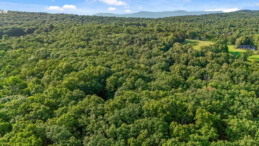305 Smokey Ridge, Rising Fawn, GA 30738 - #3