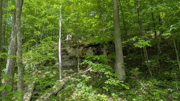 Address Withheld By Seller, Ocoee, TN 37361