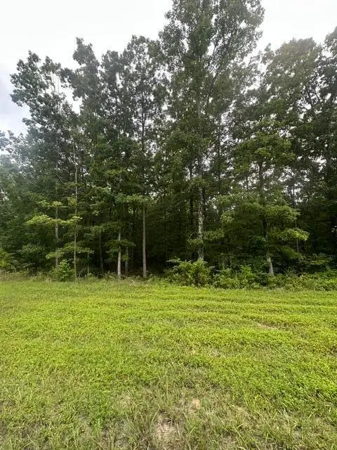 198 Kyuga Drive #198, South Pittsburg, TN 37380
