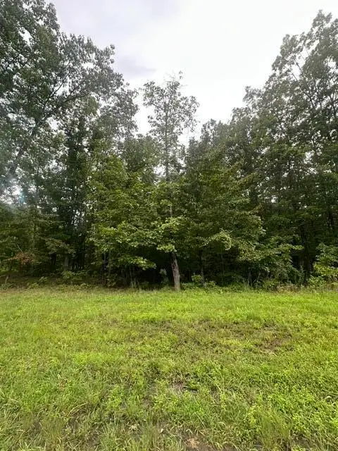 198 Kyuga Drive #198, South Pittsburg, TN 37380 - #3