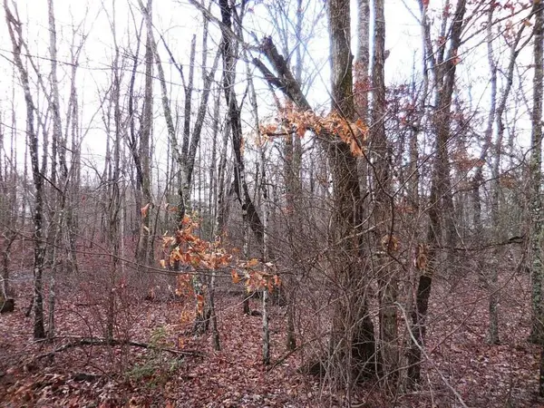1143 Natchez, Crossville, TN 38572