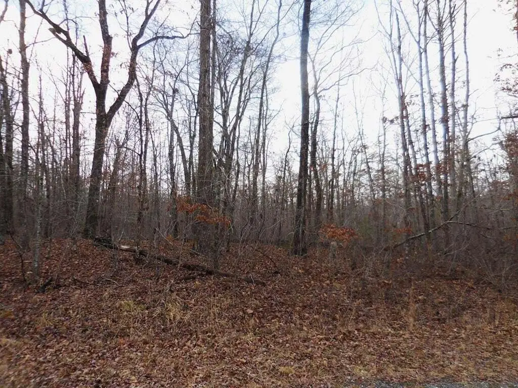 3008 Diego Drive, Crossville, TN 38572 - #1