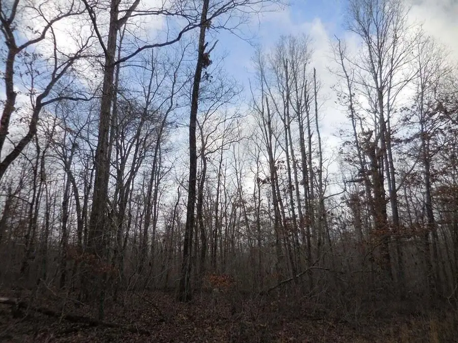 3008 Diego Drive, Crossville, TN 38572 - #2