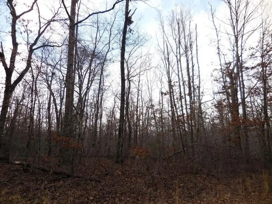 3008 Diego Drive, Crossville, TN 38572 - #3