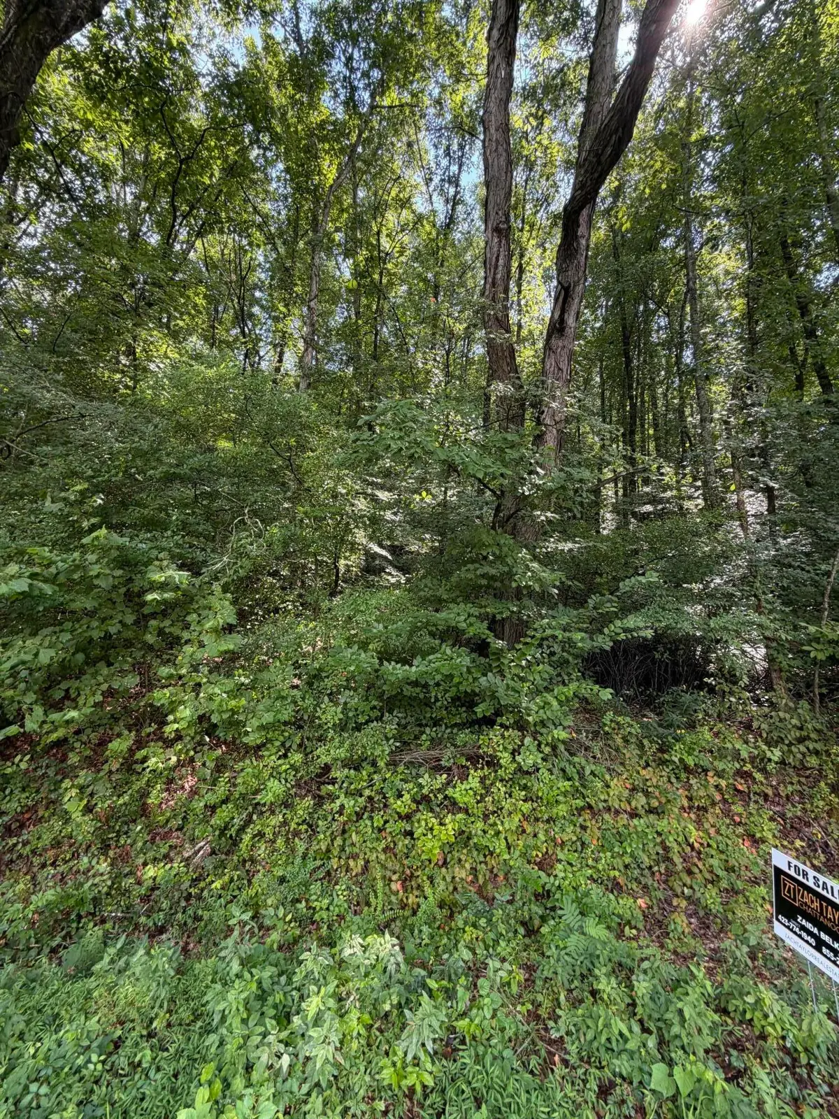 00 Salem Road, Rossville, GA 30741 - #1