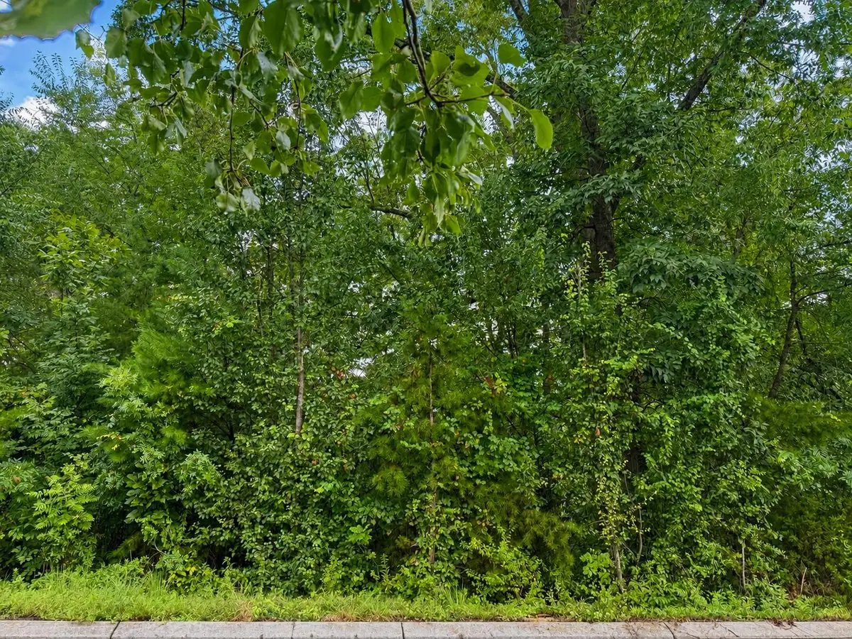392 Arbor Pointe Trail, Dayton, TN 37321 - #1