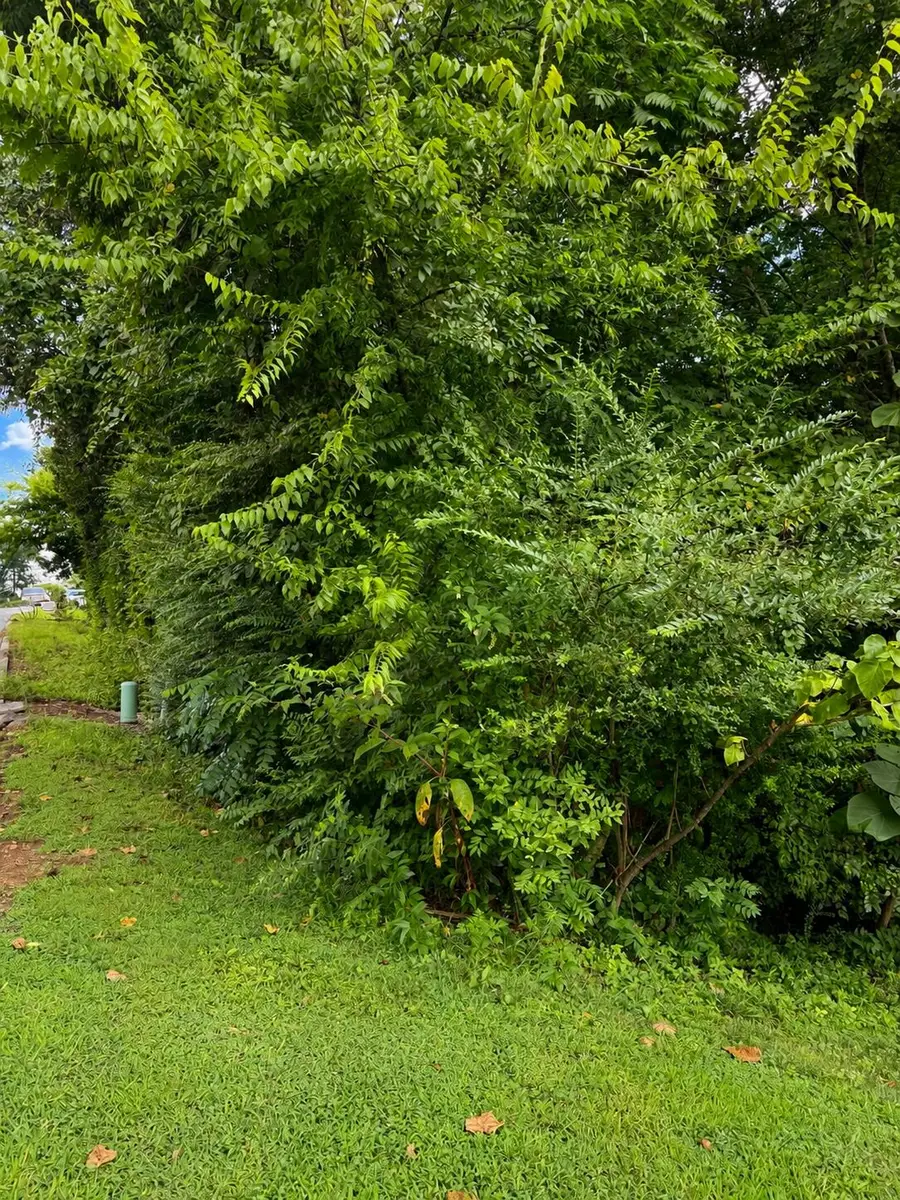 392 Arbor Pointe Trail, Dayton, TN 37321 - #2
