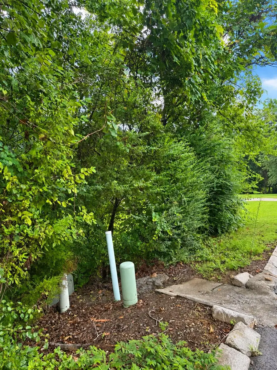 392 Arbor Pointe Trail, Dayton, TN 37321 - #3
