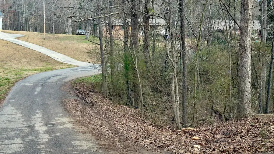 000 Adams Street, Spring City, TN 37381 - #2