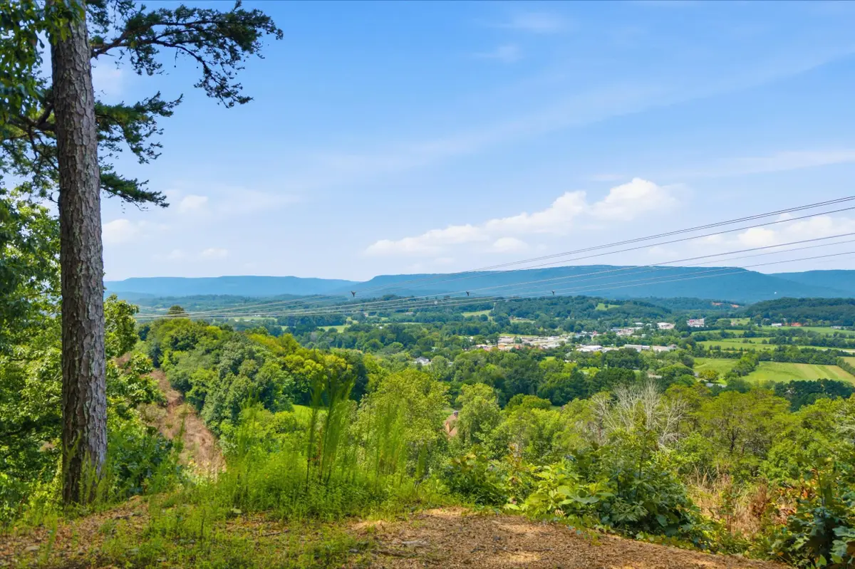 00 Pete Graham Road, Jasper, TN 37347 - #1