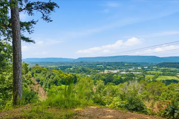 00 Pete Graham Road, Jasper, TN 37347
