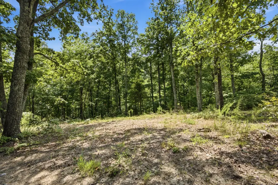 00 Pete Graham Road, Jasper, TN 37347 - #2