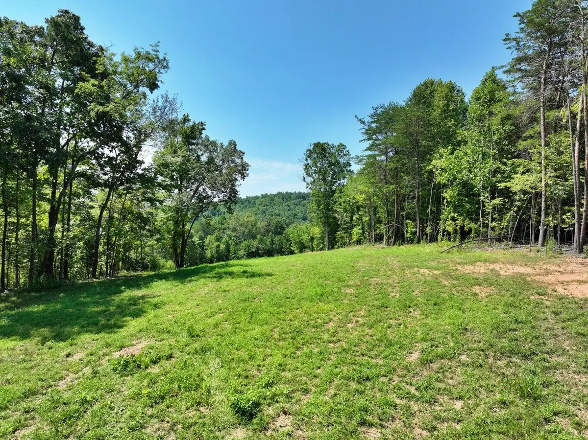 521 Norton Road, Ten Mile, TN 37880 - #1