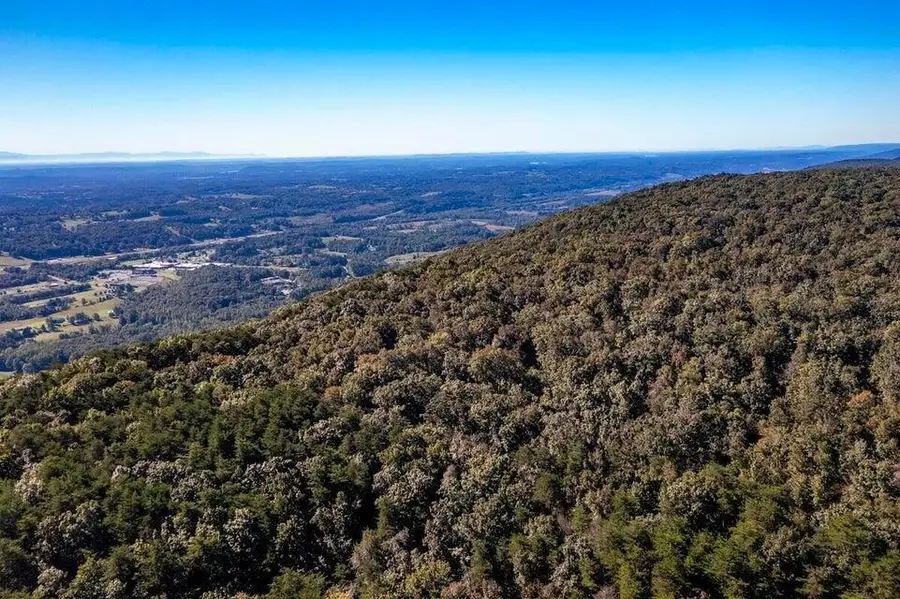 11 Wash Pelfrey Road, Evensville, TN 37332 - #2