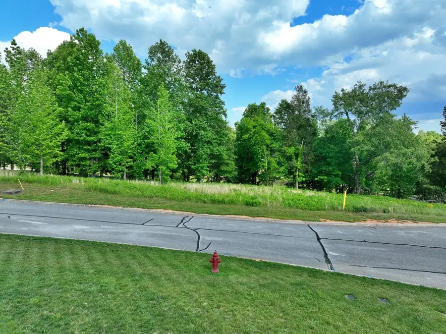 211 Blue Heron Bluff, Harriman, TN 37748 - #2