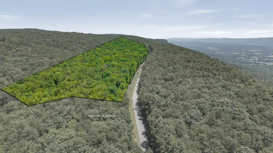 59.73ac Windridge Drive, Dunlap, TN 37327 - #3