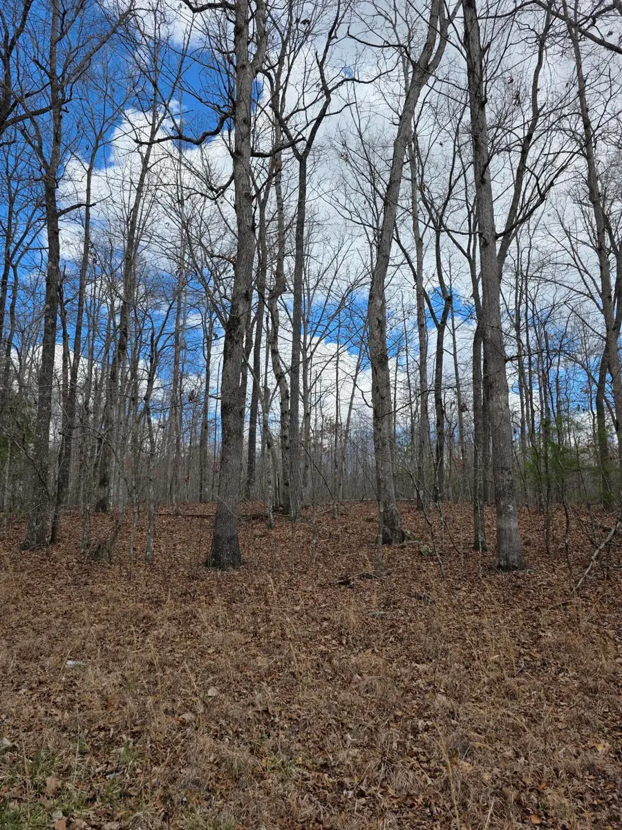 0 Diane Circle, Crossville, TN 38572 - #2