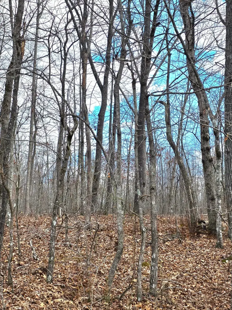 0 Diane Circle, Crossville, TN 38572 - #3