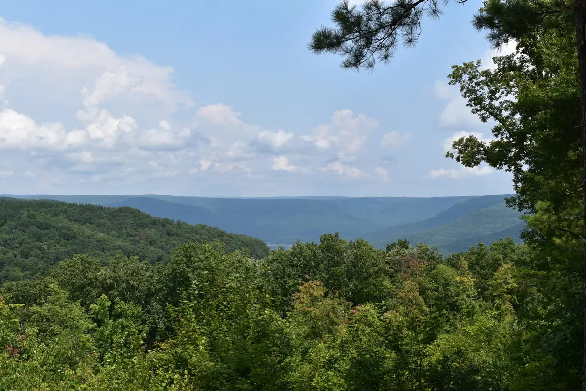 0 River Bend Road #Lot 1232, Guild, TN 37340 - #1