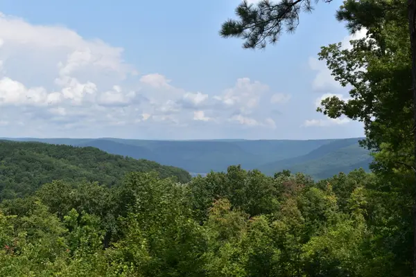 0 River Bend Road #Lot 1232, Guild, TN 37340