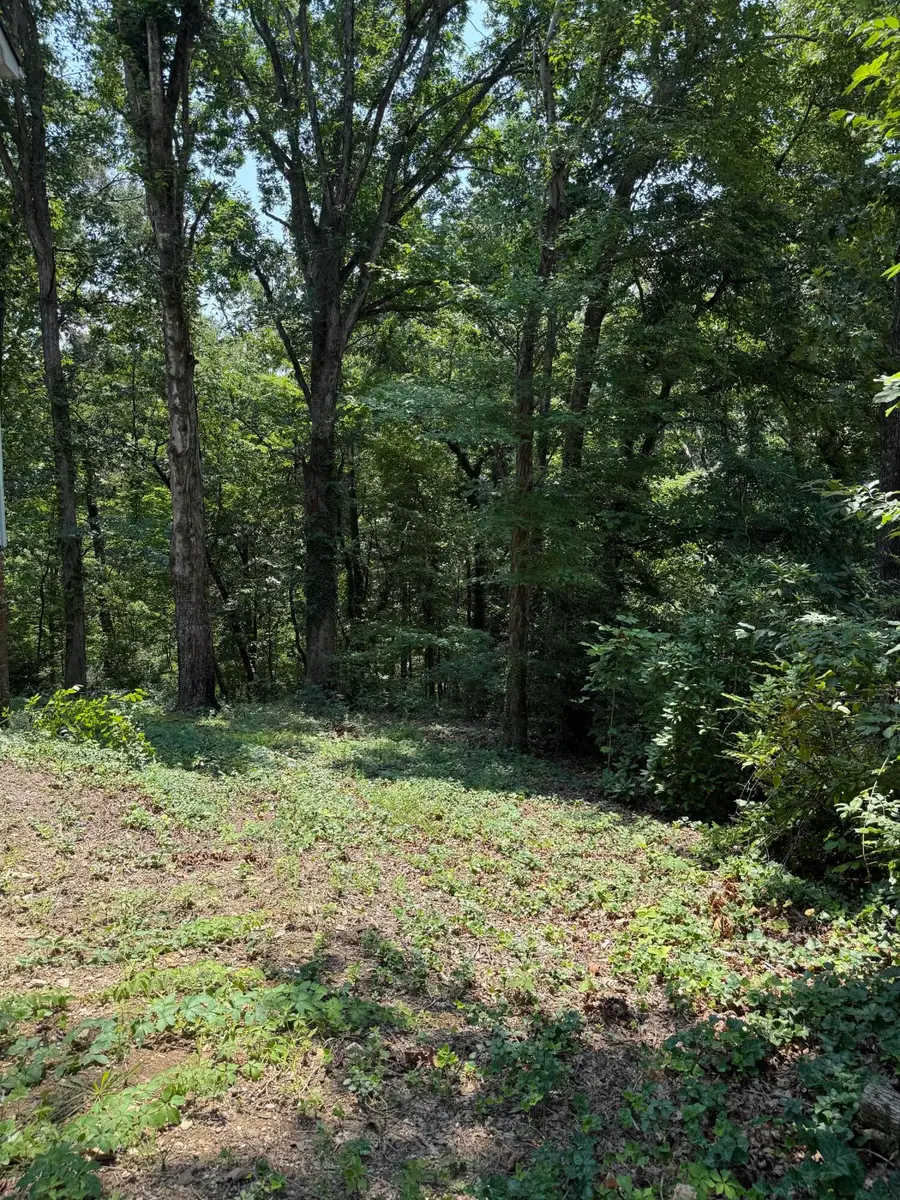 6524 Lake Shadows Circle, Hixson, TN 37343 - #2