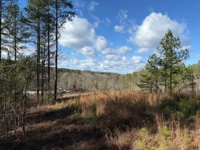 0 Birds Eye Way #1097, Guild, TN 37340 - #1