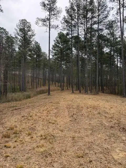 0 Birds Eye Way #1097, Guild, TN 37340 - #2
