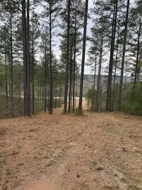 0 Birds Eye Way #1097, Guild, TN 37340 - #3