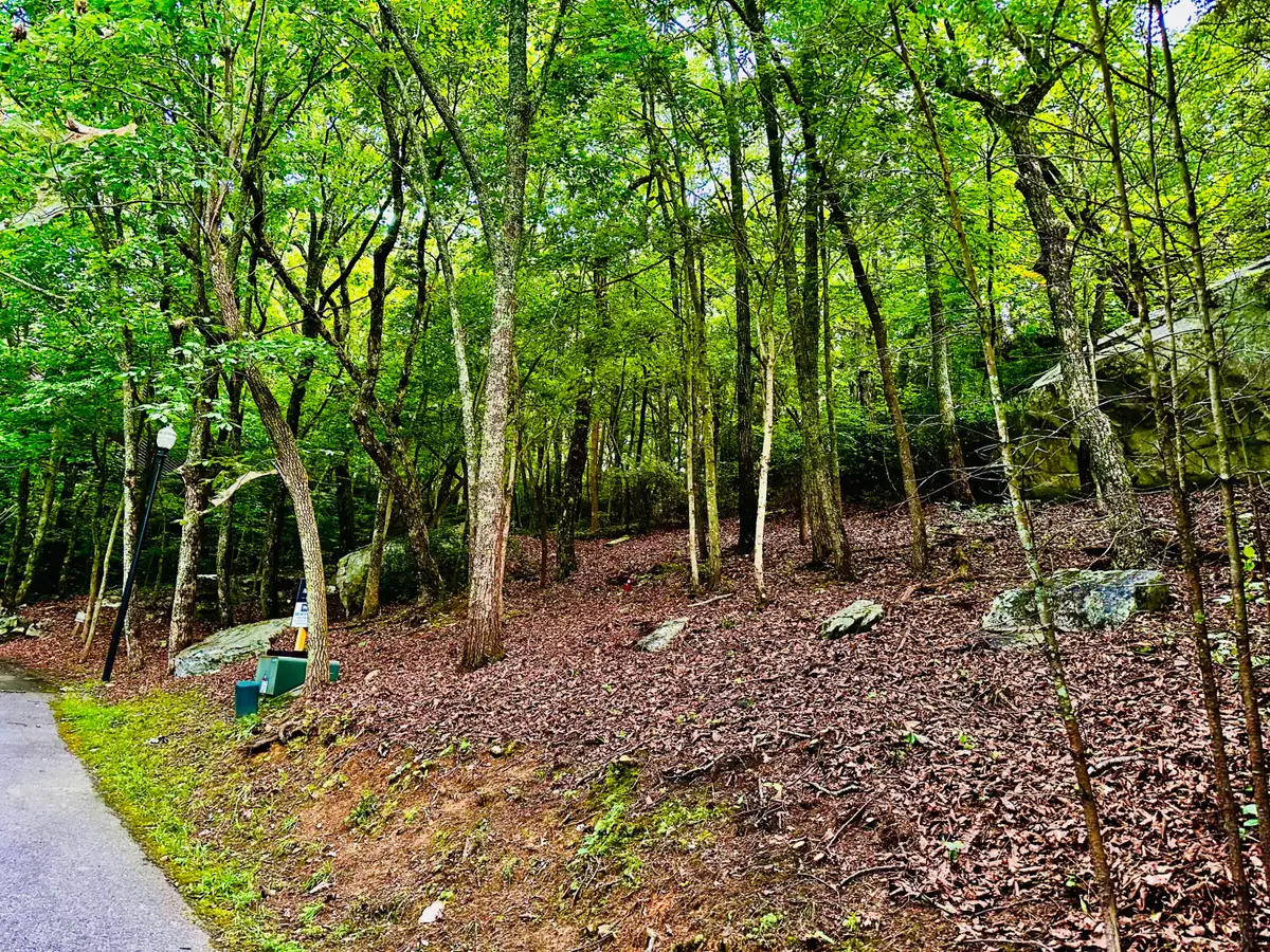 0 Eagle Creek Trail #Lot 5, Rising Fawn, GA 30738 - #1