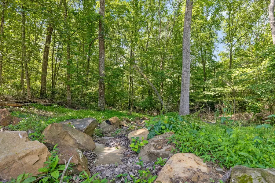 0 Maple Leaf Trail #Lot 5, Lookout Mountain, GA 30750 - #3