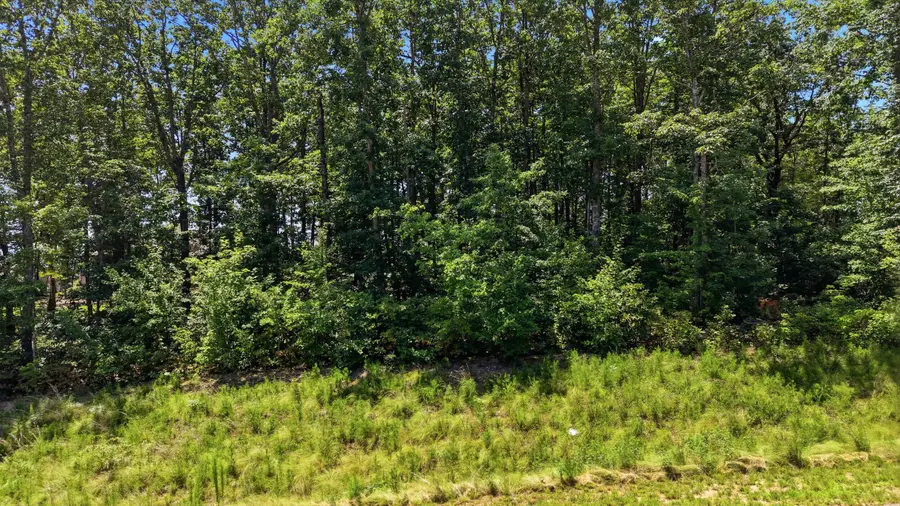 1402 Bent Hickory Road #(136), Signal Mountain, TN 37377 - #2