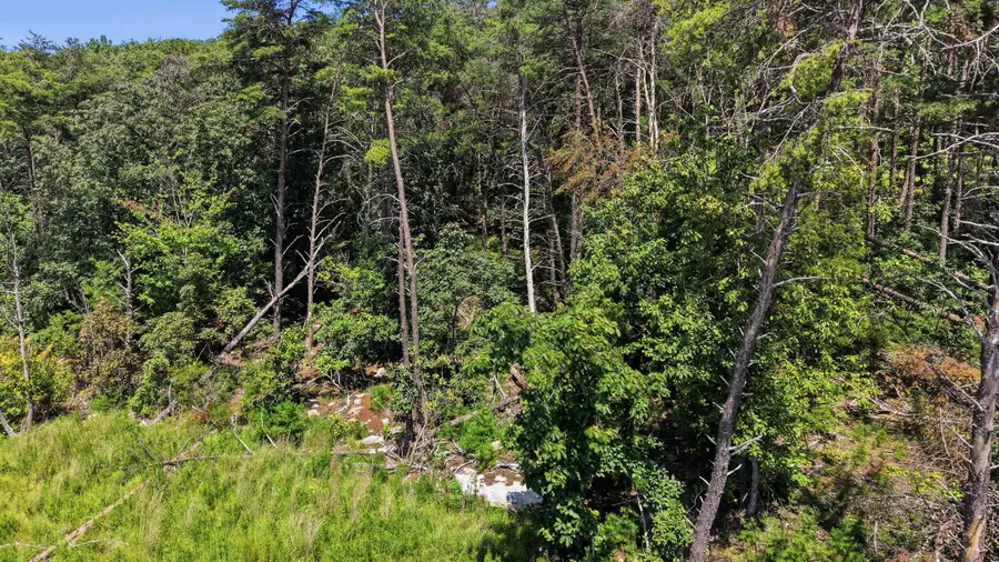 8381 Big Sky Lane #(125), Signal Mountain, TN 37377 - #3