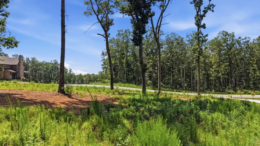 8581 Bear Paw Trail #(97), Signal Mountain, TN 37377 - #3