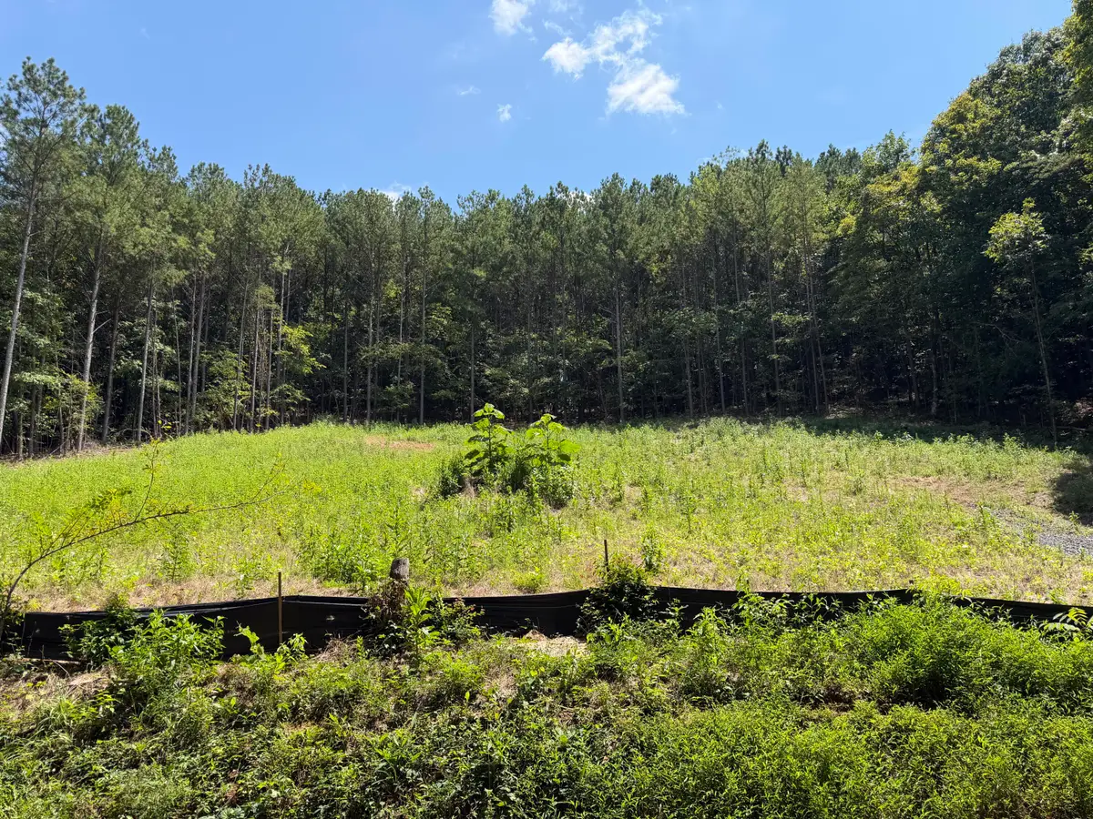 0 SW Banther Road Sw, McDonald, TN 37353 - #1