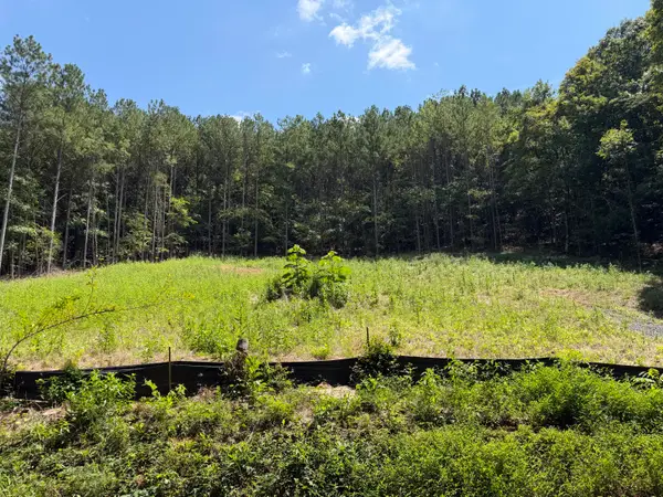 0 SW Banther Road Sw, McDonald, TN 37353