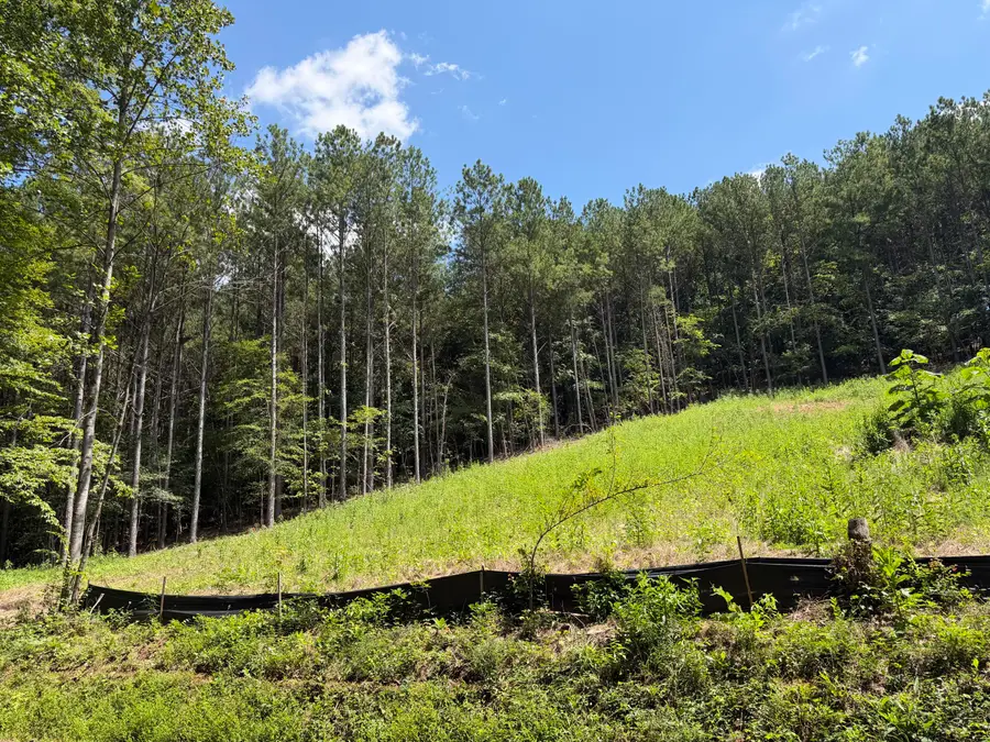 0 SW Banther Road Sw, McDonald, TN 37353 - #2
