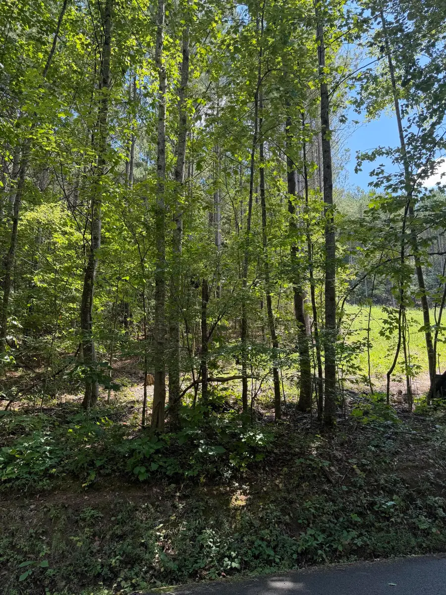 0 SW Banther Road Sw, McDonald, TN 37353 - #3