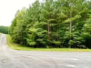 425 Cross Creek Trail, South Pittsburg, TN 37380 - #2
