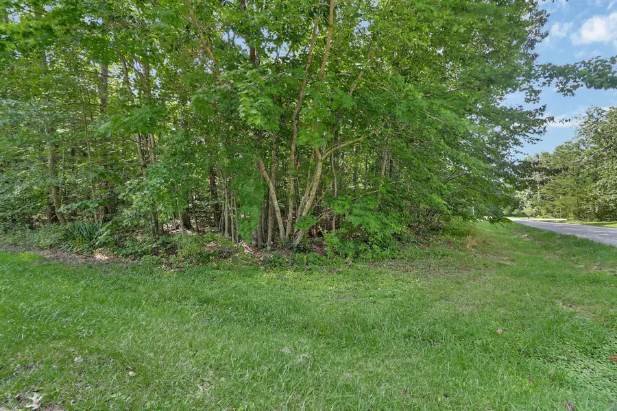 228 Pomeroy Drive, Crossville, TN 38558 - #3
