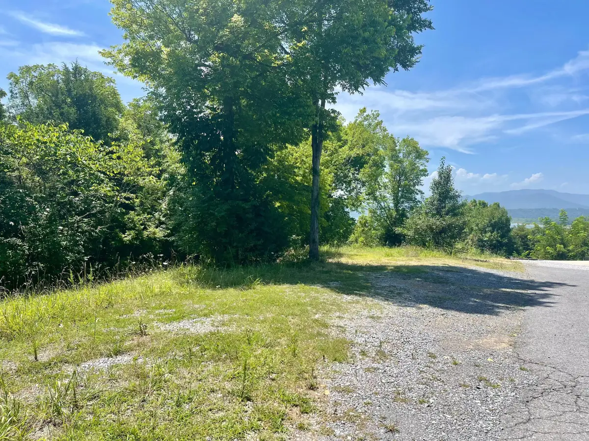 0 Waterford Way, Newport, TN 37821 - #1