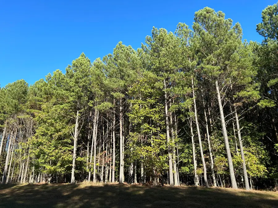 2035 Crockett Pointe #Jf-609, Jasper, TN 37347 - #3
